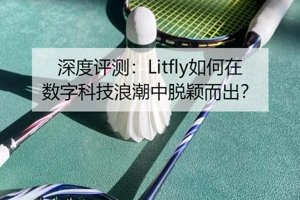 深度评测：Litfly如何在数字科技浪潮中脱颖而出？